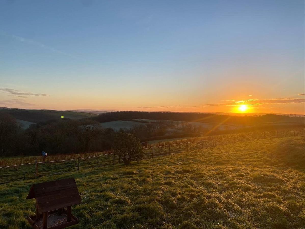 1 Bedroom Holiday Let In The Heart Of West Wales Кармартен Экстерьер фото